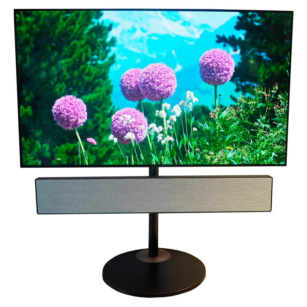 Beosound Stage 55" systemløsning - LBS.dk