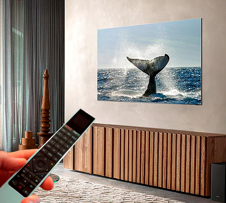 B&O BeoOne + 65” 8K infinity Screen - LBS.dk